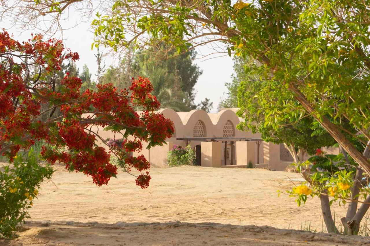 Tzila Bahariya Villa Bahariya Oasis Exterior photo